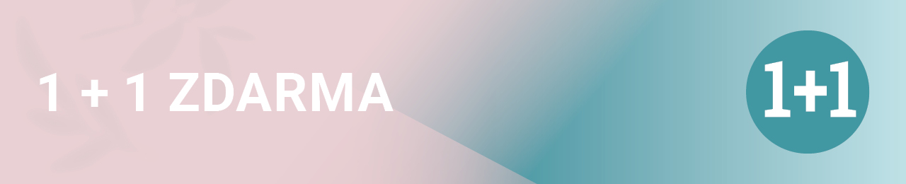 Akce 1+1 ZDARMA