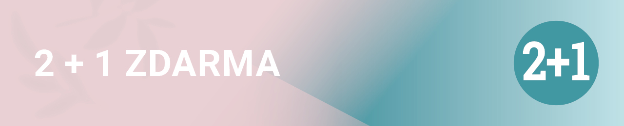 Akce 2+1 ZDARMA