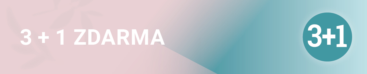 Akce 3+1 ZDARMA
